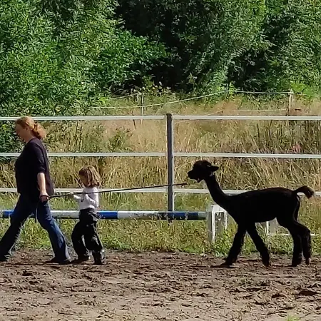 Ferienhof-stoerwiese Arpsdorf