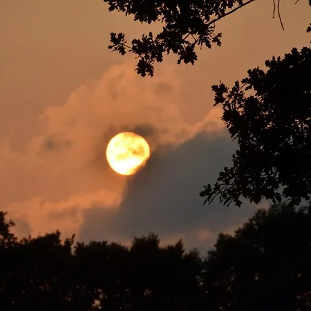 Apartamento Ferienhof-stoerwiese