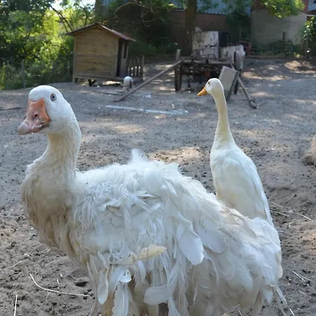 Ferienhof-störwiese